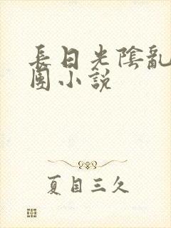 长日光阴乱作一团小说