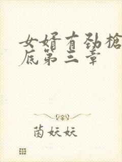 女婿有劲枪枪到底第三章