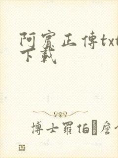 阿宾正传txt下载