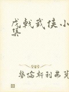 戊戟武侠小说全集