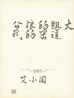 公狼的粗大挺进我的密道