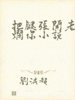 把腿张开老子臊烂你小说