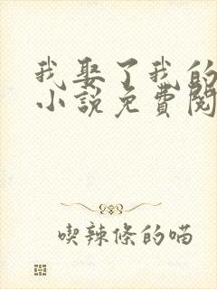 我娶了我的妈妈小说免费阅读