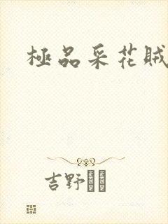 极品采花贼