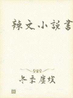 辣文小说书包网