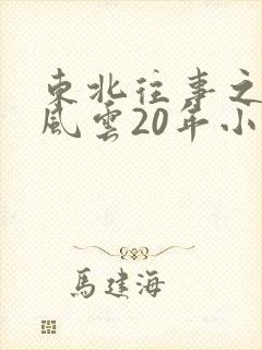 东北往事之黑道风云20年小说