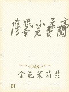 催眠小柔高达第13章免费阅读