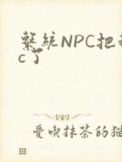 系统NPC把我c了