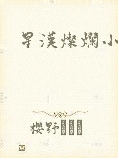 星汉灿烂小说