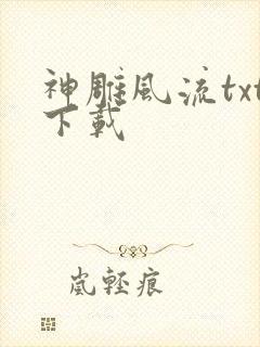 神雕风流txt下载