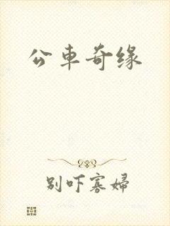 公车奇缘