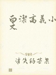 白洁高义小说全文