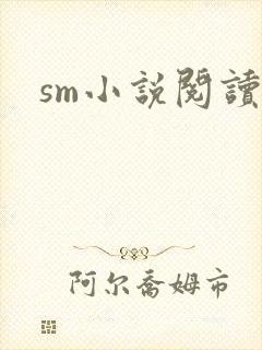 sm小说阅读