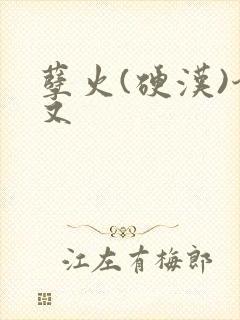 孽火(硬汉)今又