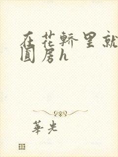 在花轿里就开始圆房h