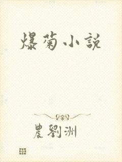 爆菊小说