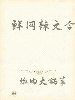 鲜网辣文合集