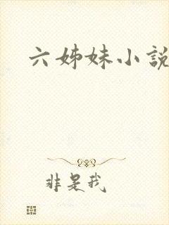 六姊妹小说