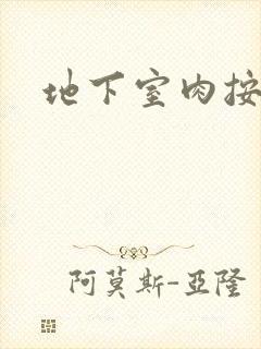 地下室肉按摩椅