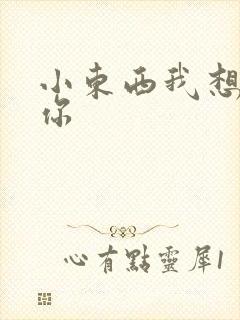 小东西我想弄坏你