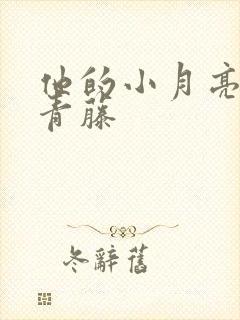 他的小月亮by青藤