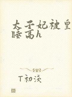 太子妃被皇上强睡高h