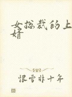 女总裁的上门女婿