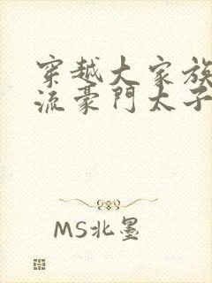 穿越大家族之风流豪门太子爷