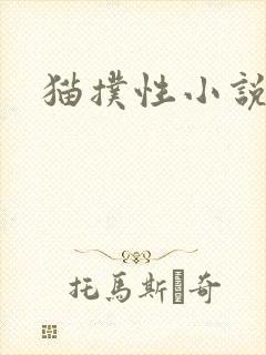 猫扑性小说