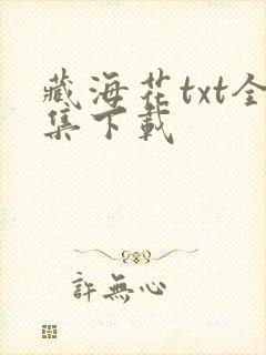 藏海花txt全集下载