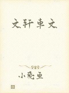 文轩车文