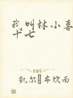 我叫林小喜今年十七
