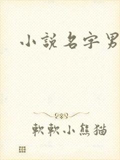小说名字男生