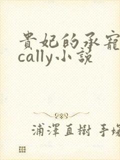 贵妃的承宠日常cally小说