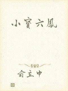 小宝六凤