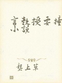 言教授要撞坏了小说