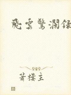飞云惊澜录