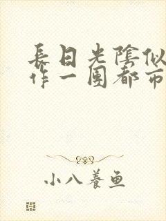 长日光阴似箭乱作一团都市言情