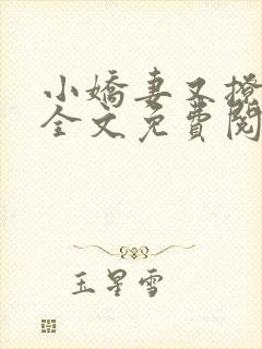 小娇妻又撩又甜全文免费阅读