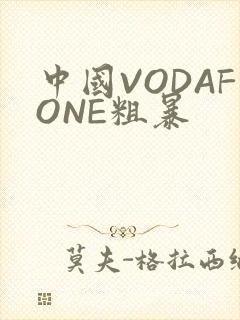 中国VODAFONE粗暴