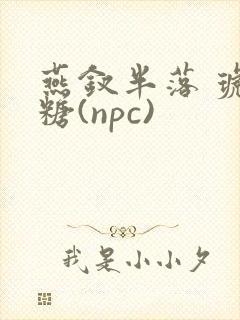 燕钗半落 琥珀糖(npc)