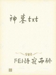 神墓txt