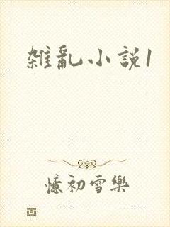 杂乱小说1