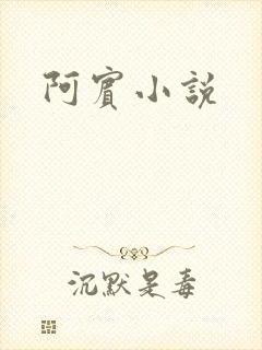 阿宾小说