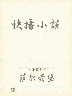 快播小说