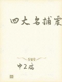 四大名捕震关东