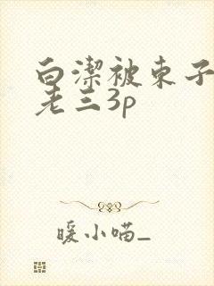 白洁被东子老二老三3p
