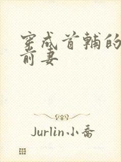 穿成首辅的炮灰前妻