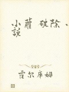 小萝 破除 小说