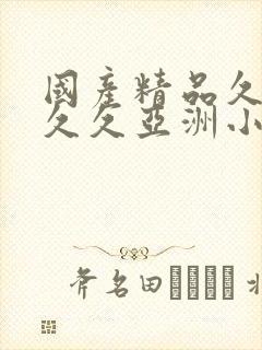 国产精品久久久久久亚洲小说